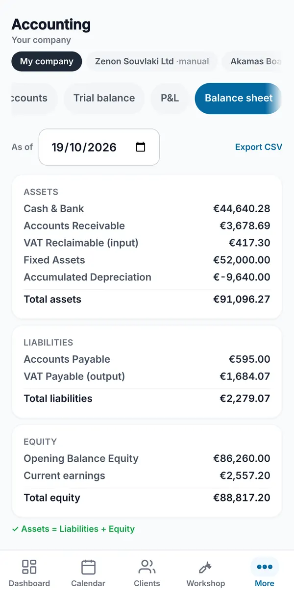 The balance sheet with assets, liabilities and equity totals and a check that assets equal liabilities plus equity.